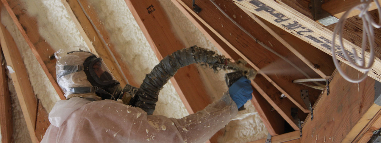 Sacramento California Attic Insulation Spray Foam
